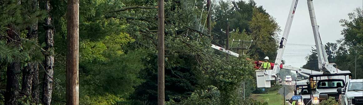 Crews clearing trees off power lines