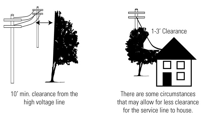 Tree trimming illustrations